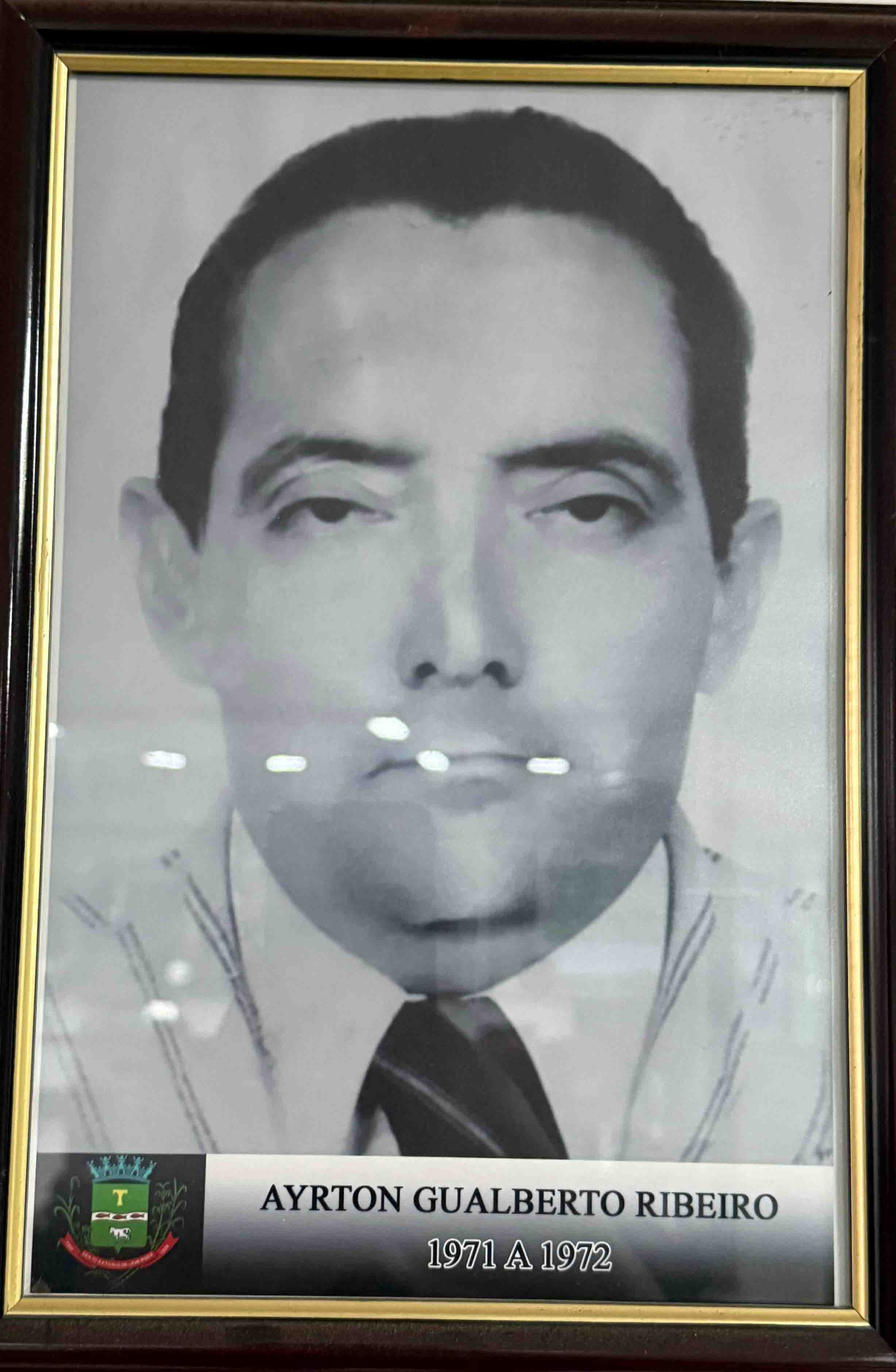 Ayrton Gualberto Ribeiro